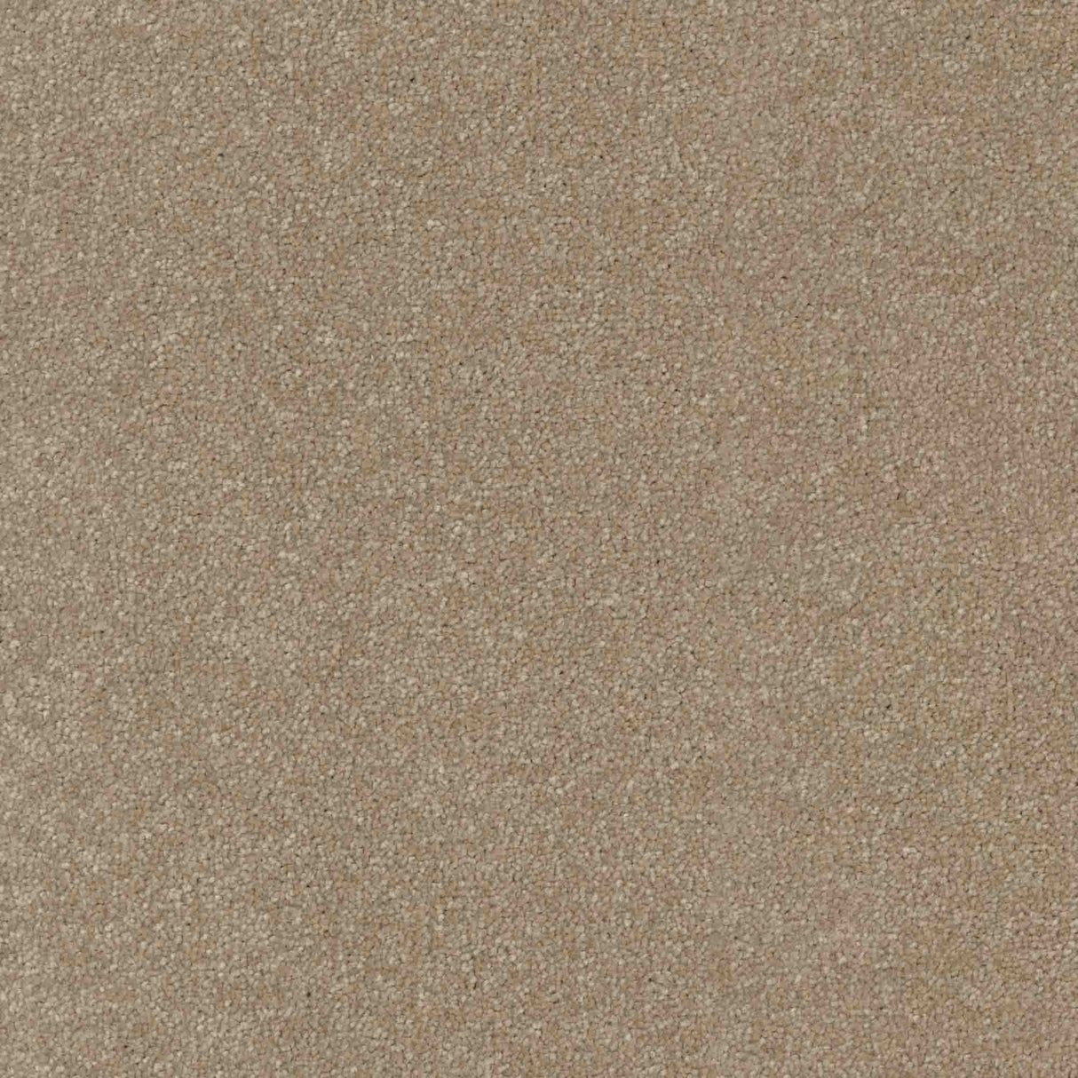 Inspiration Carpet