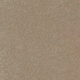 Inspiration Carpet