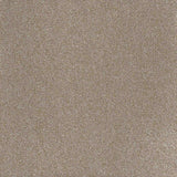 Inspiration Carpet