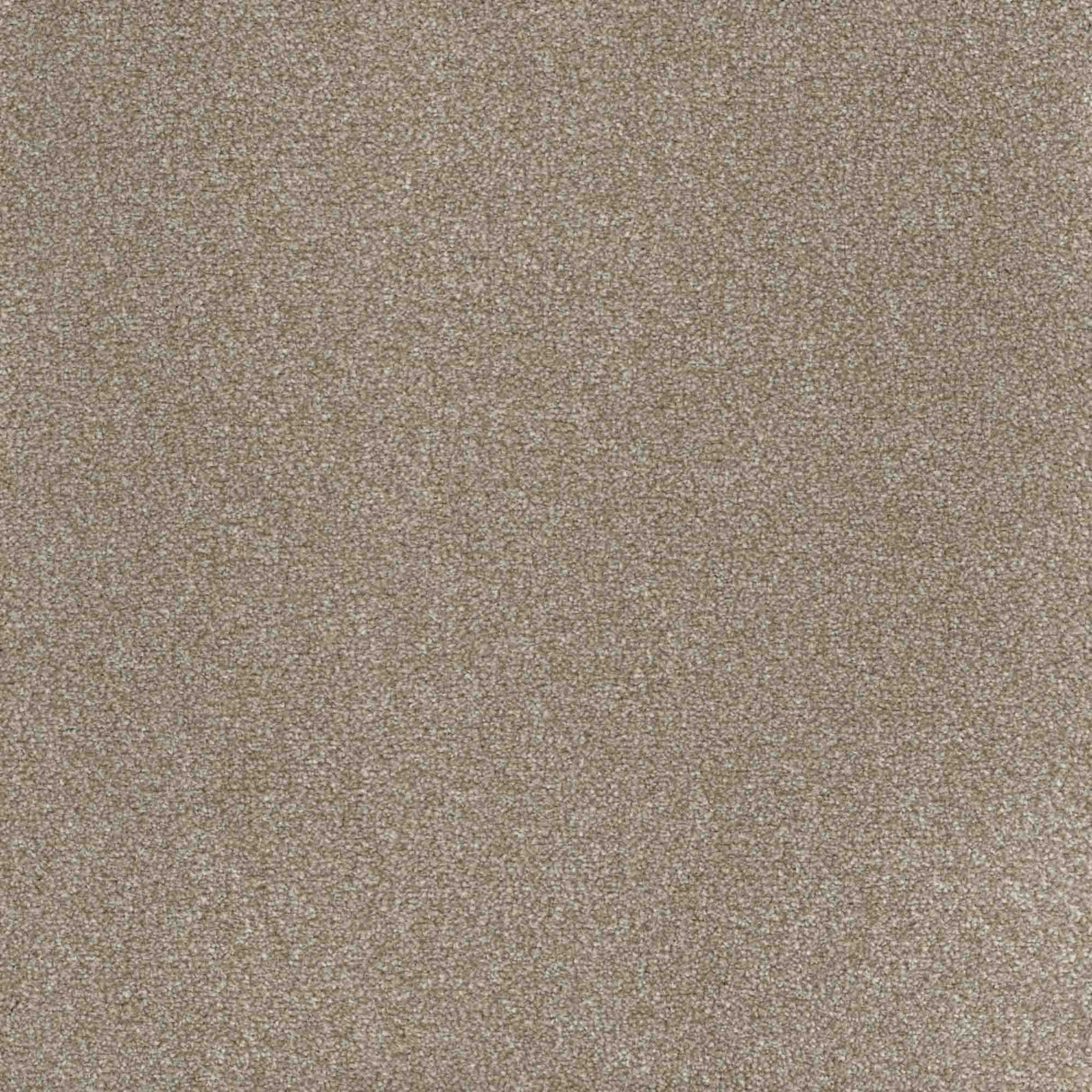 Inspiration Carpet
