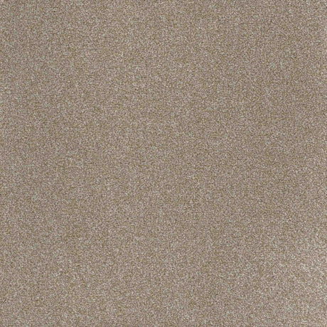 Inspiration Carpet