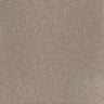 Inspiration Carpet