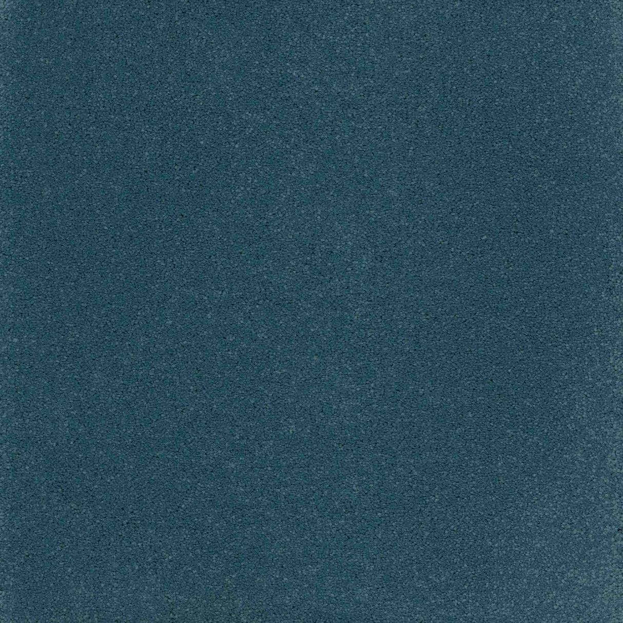 Inspiration Carpet