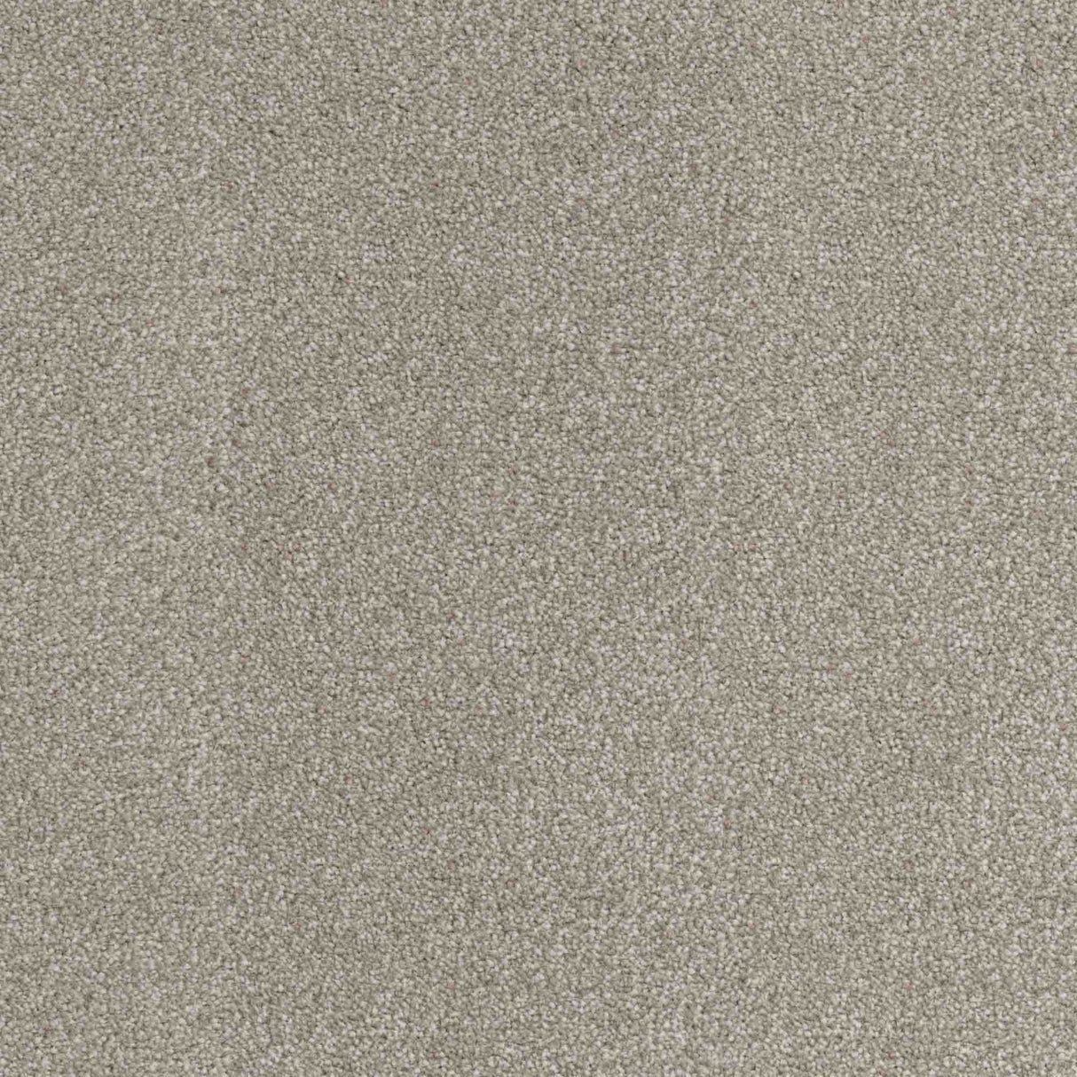 Inspiration Carpet