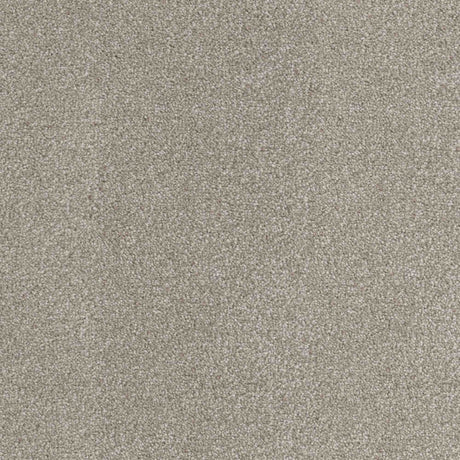 Inspiration Carpet