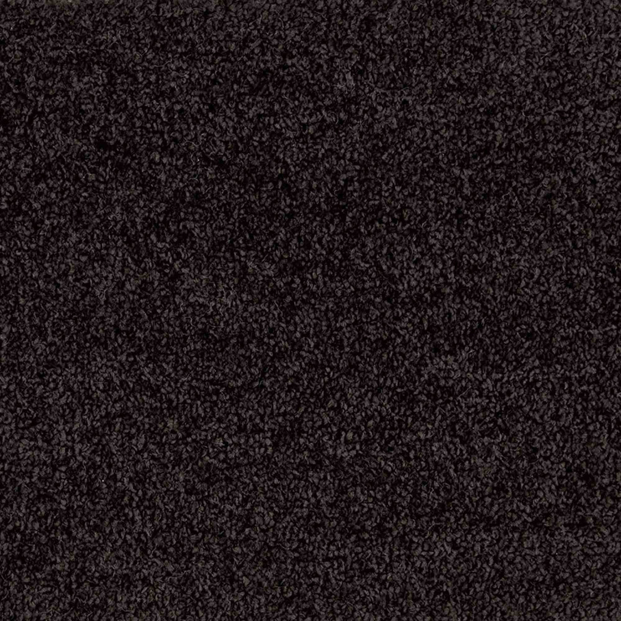 Iona Carpet