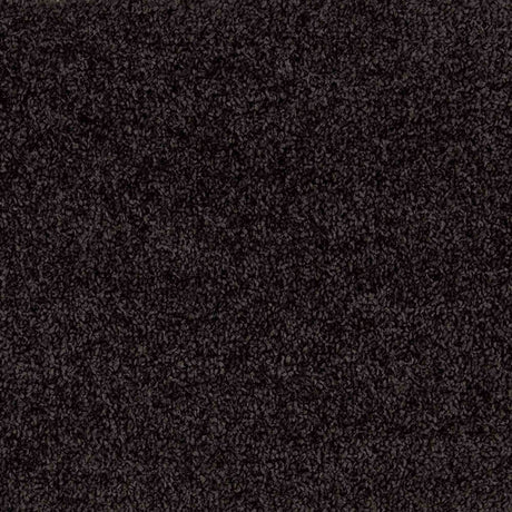 Iona Carpet