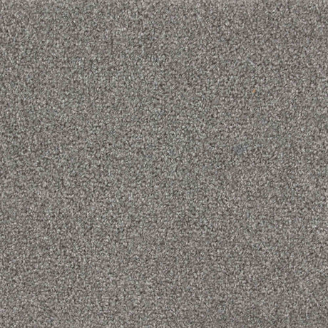Iona Carpet