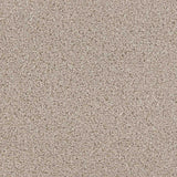 Iona Carpet