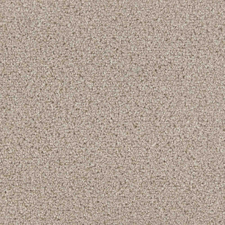 Iona Carpet