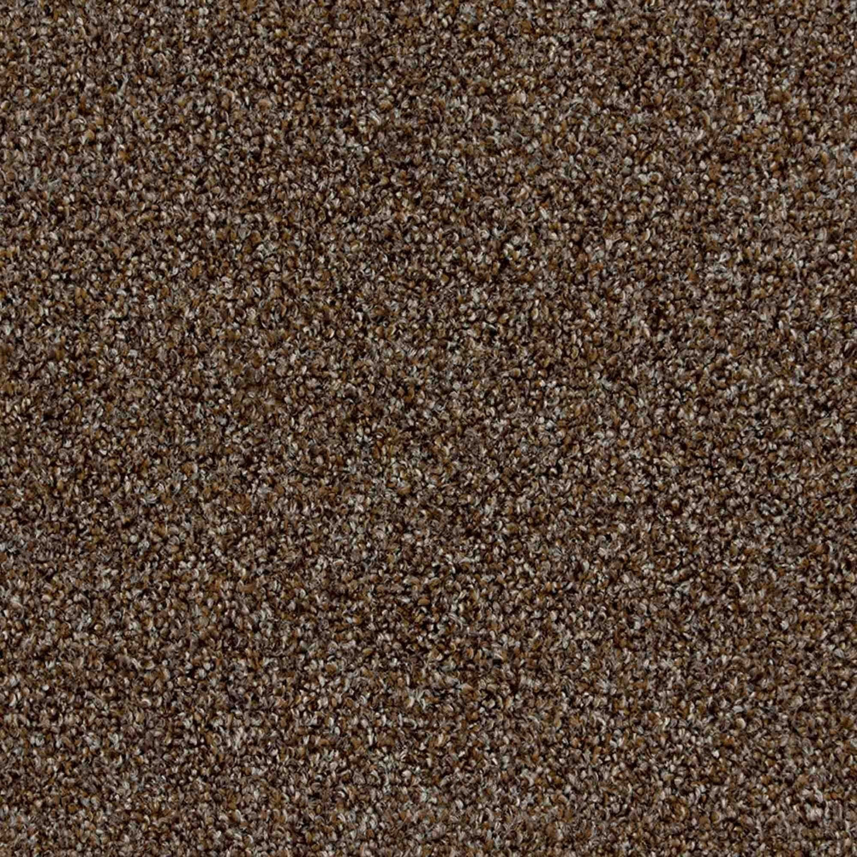 Iona Carpet