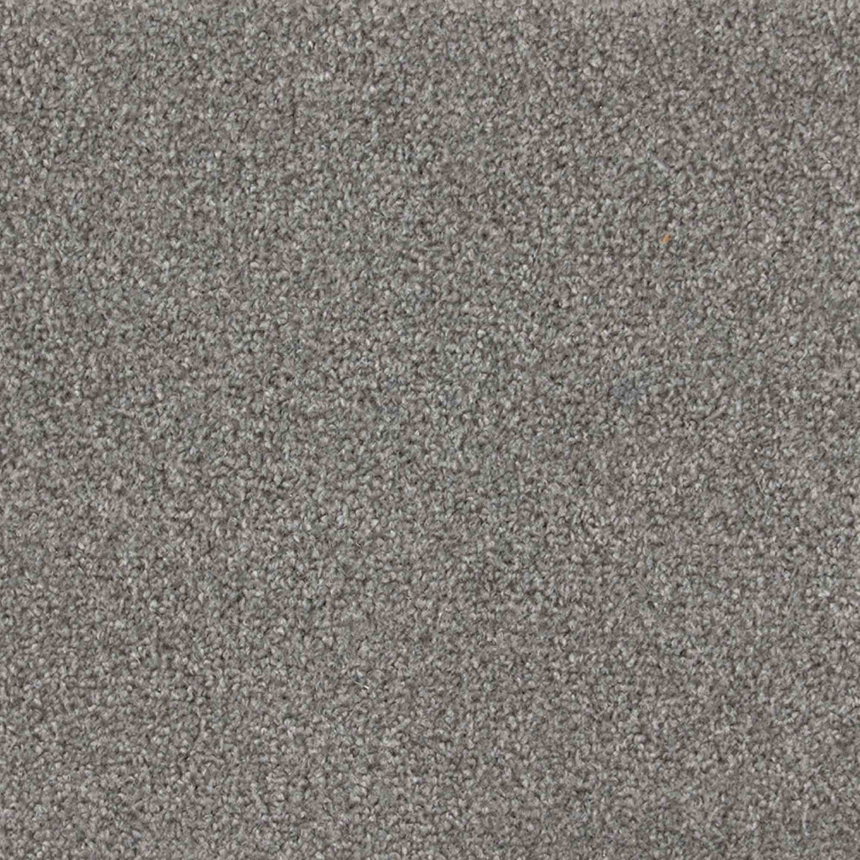 Iona Carpet