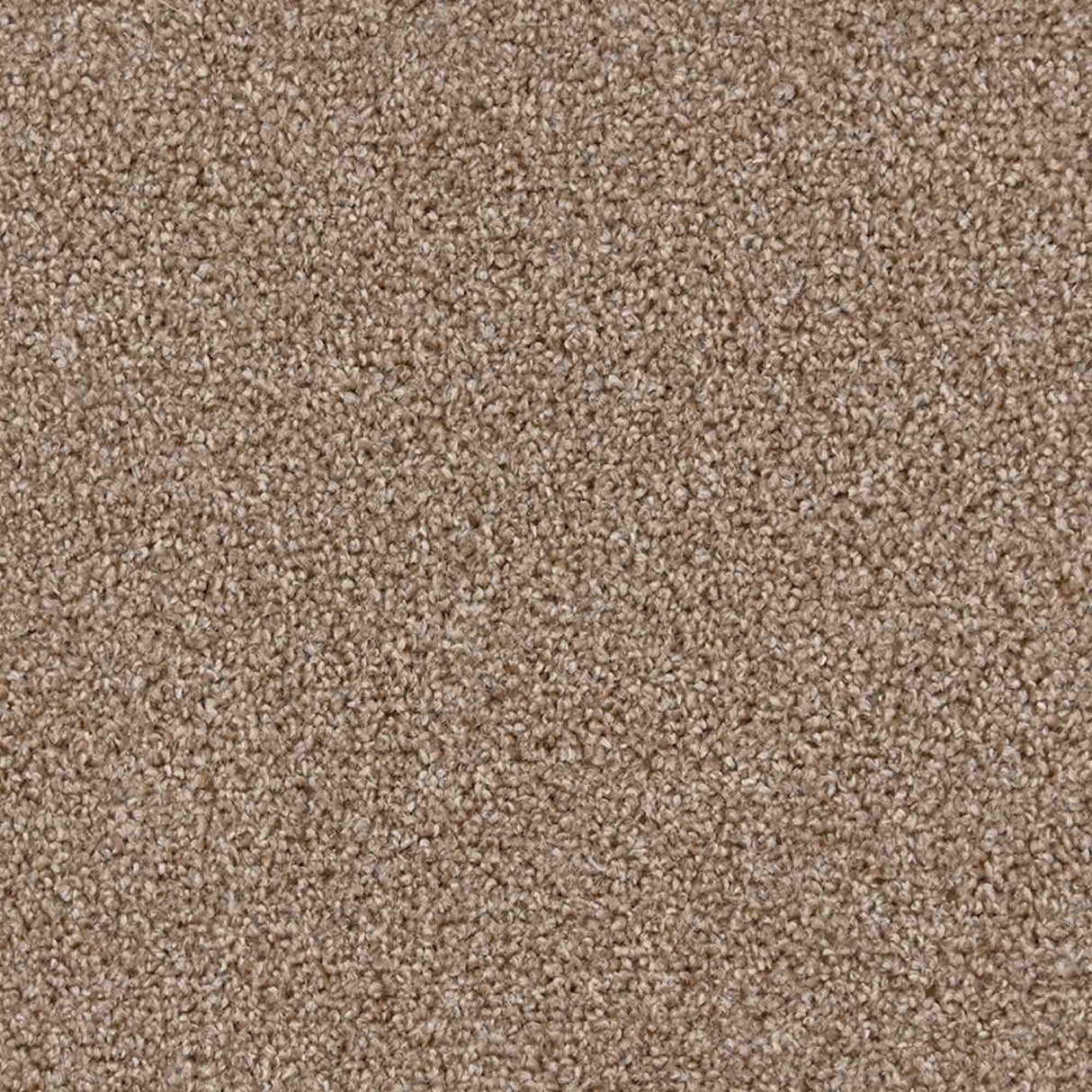Iona Carpet