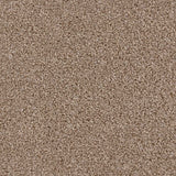 Iona Carpet