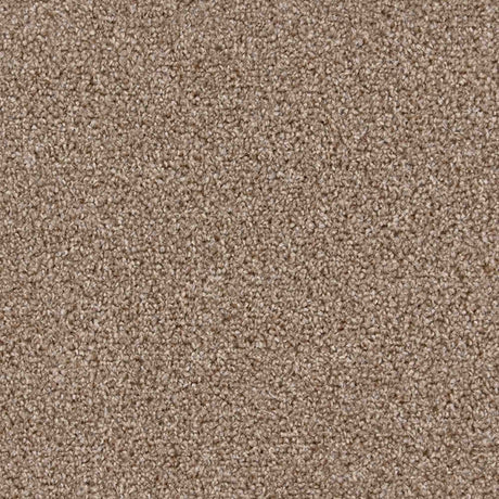 Iona Carpet