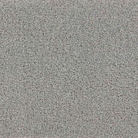 Iona Carpet