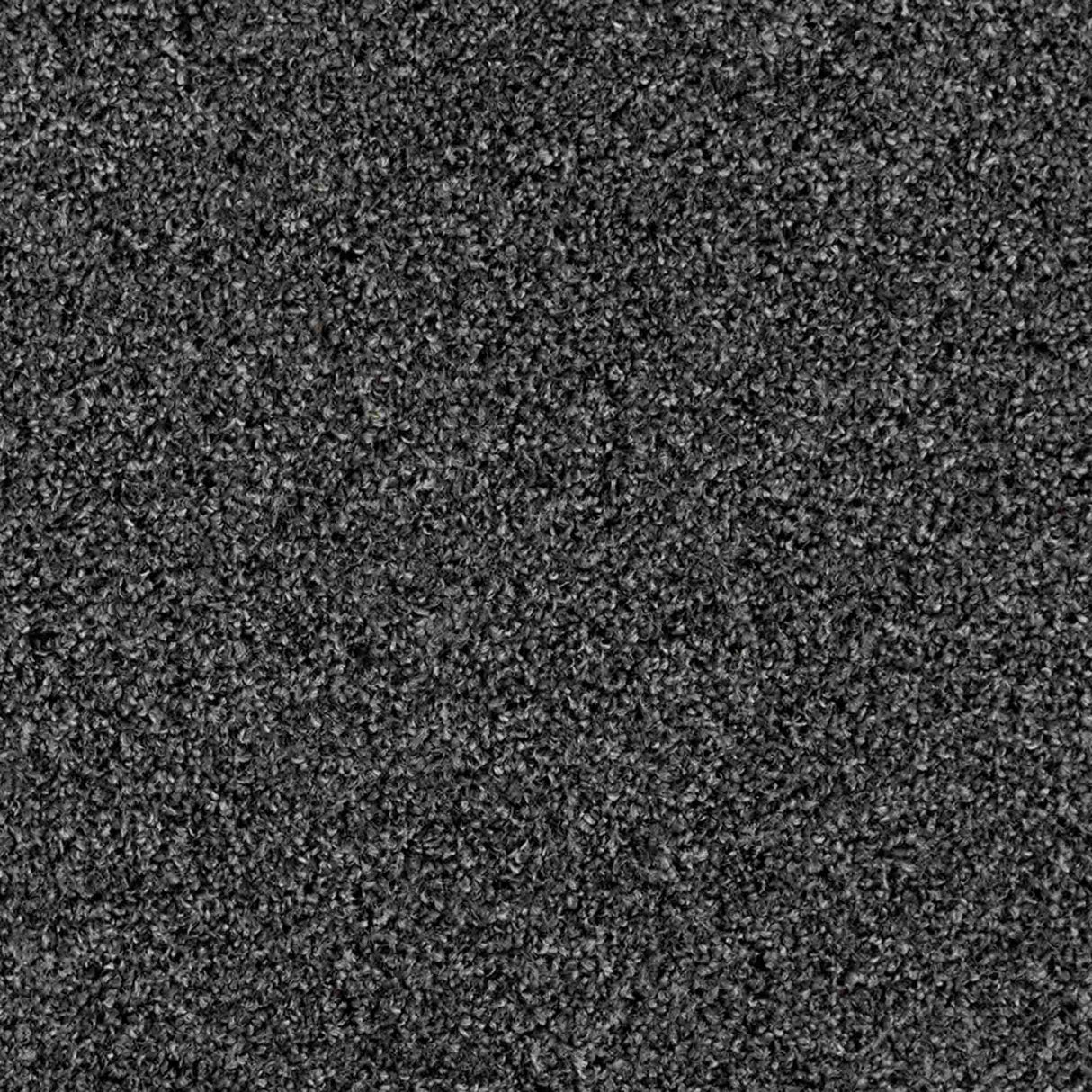 Iona Carpet
