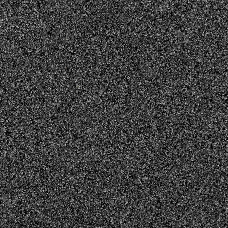 Iona Carpet