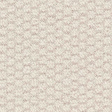 Marlow Carpet
