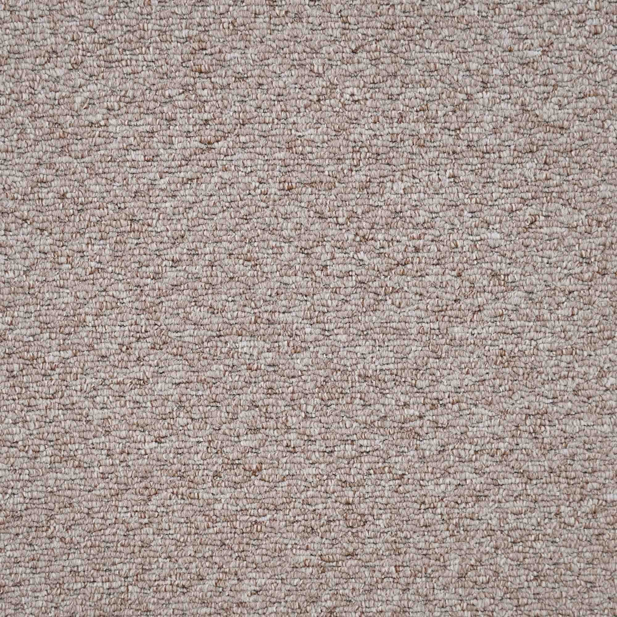 Oasis Carpet