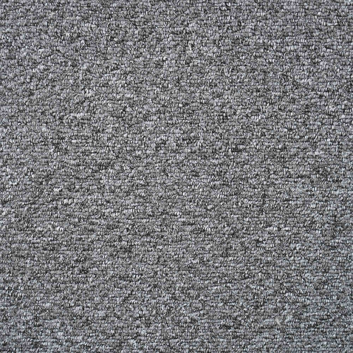 Oasis Carpet