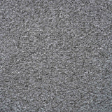 Oasis Carpet