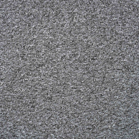 Oasis Carpet