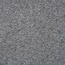 Oasis Carpet