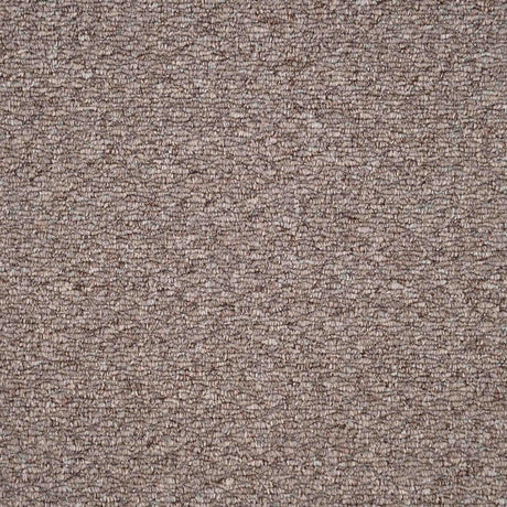 Oasis Carpet
