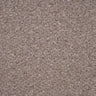 Oasis Carpet