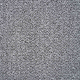 Oasis Carpet