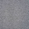 Oasis Carpet