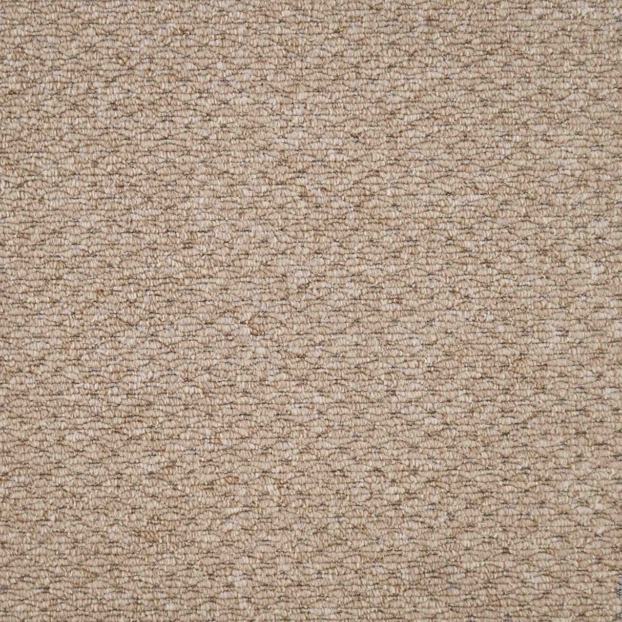 Oasis Carpet