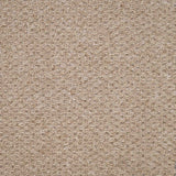 Oasis Carpet