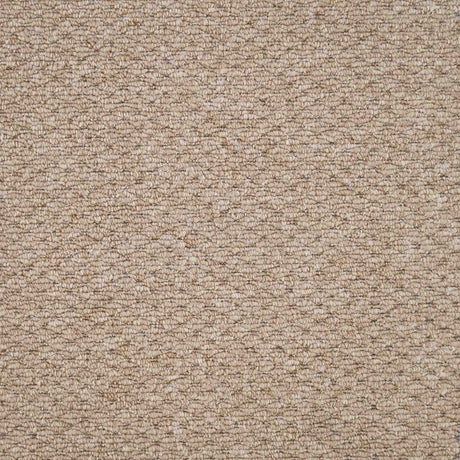 Oasis Carpet