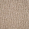 Oasis Carpet