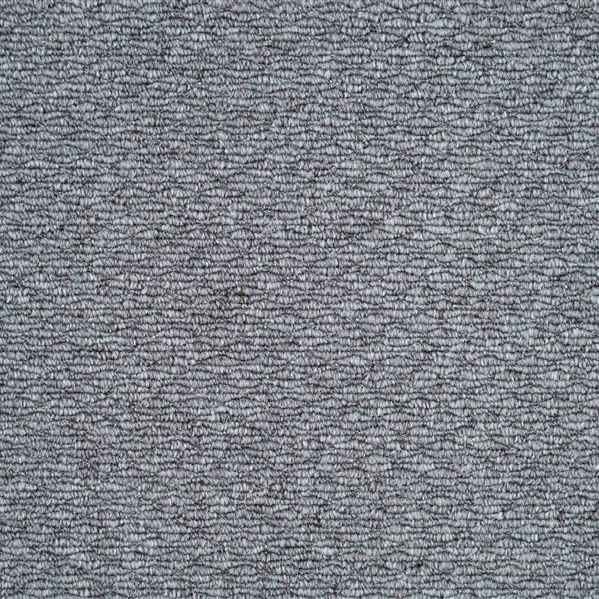 Oasis Carpet
