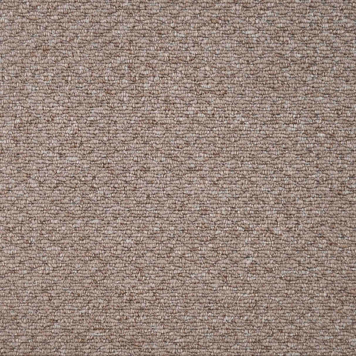 Oasis Carpet