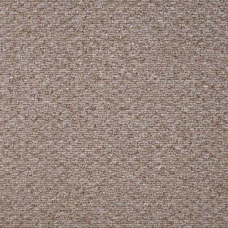 Oasis Carpet
