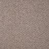 Oasis Carpet