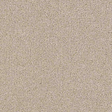 Renaissance Carpet