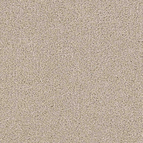 Renaissance Carpet