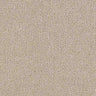 Renaissance Carpet