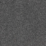 Renaissance Carpet
