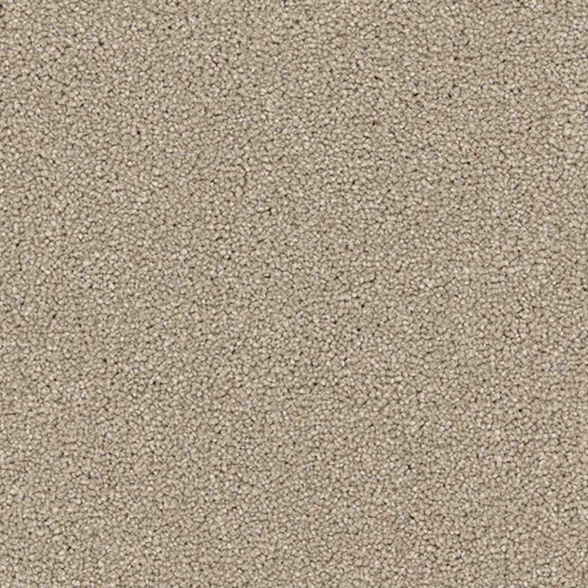 Renaissance Carpet