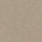 Renaissance Carpet
