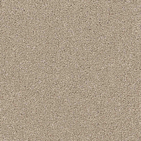Renaissance Carpet