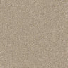 Renaissance Carpet