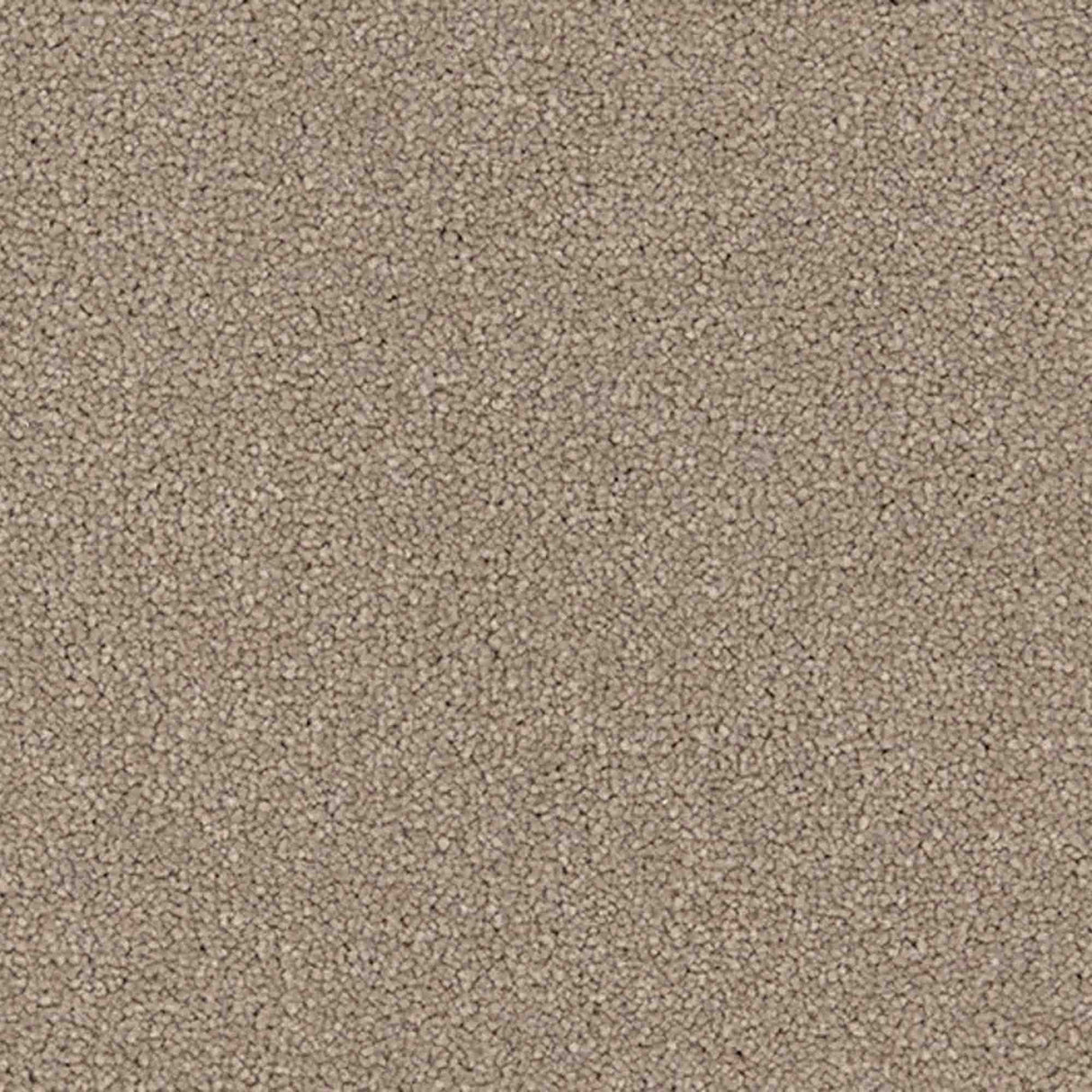 Renaissance Carpet
