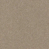 Renaissance Carpet